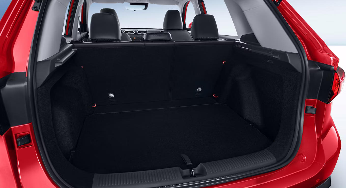 trunk 1 1 11