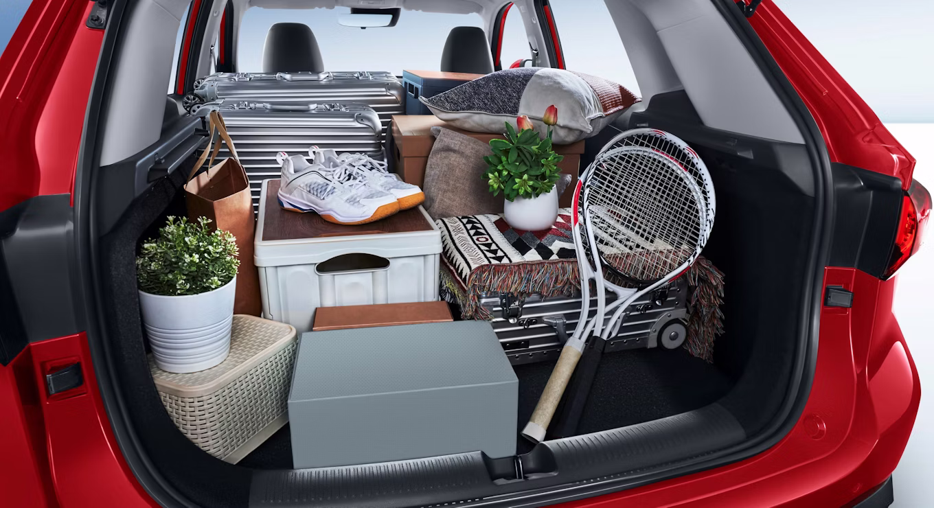 trunk 2 2 11