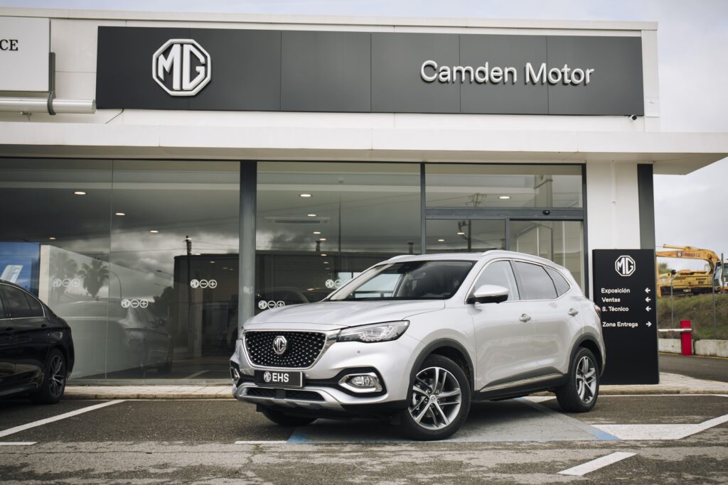 mg ehs 25 (1)