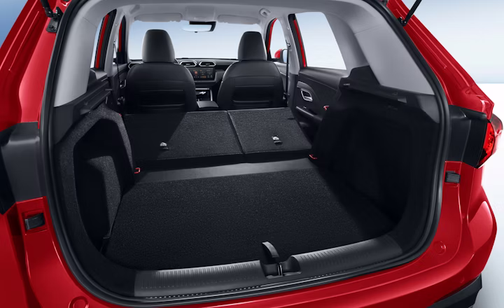 trunk 2 1 11 (1)