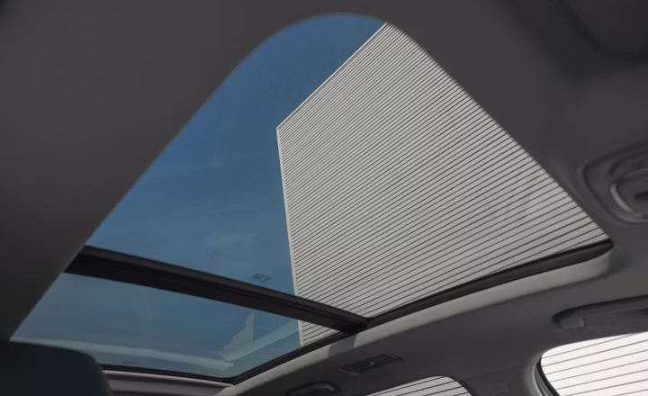 panaramic roof mgs9